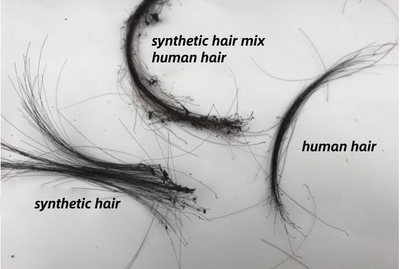 How Can You Identify Human Hair?